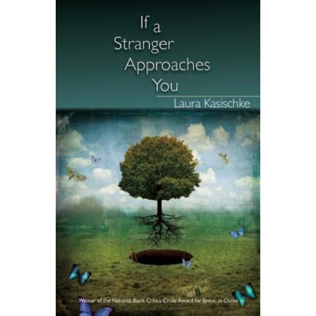If a Stranger Approaches You, Laura Kasischke (Author)