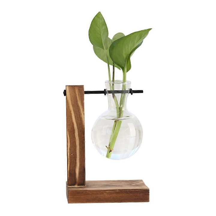 Statie de propagare plante, suport lemn natural, sticla borosilicata, culoare lemn, 15x20cm