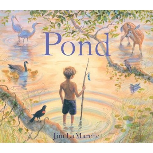 Pond, Jim LaMarche (Author)