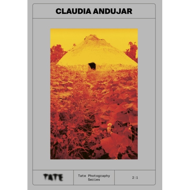 Tate Photography: Claudia Andujar -