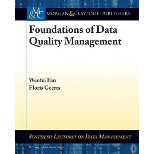 Foundations of Data Quality Management - Wenfei Fan (Author)