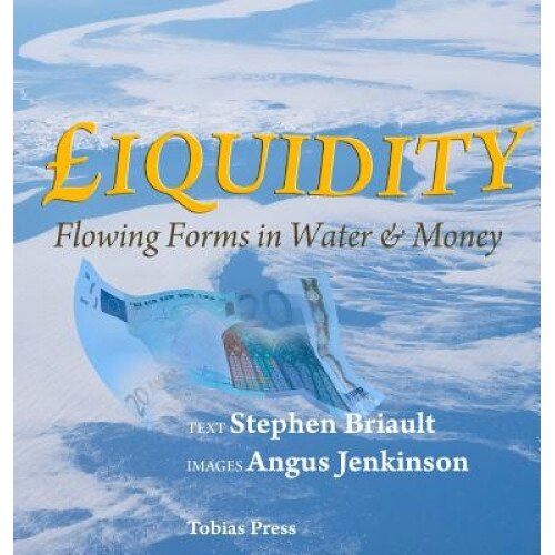 Liquidity: Flowing Forms in Water and Money - Stephen Briault (Author)