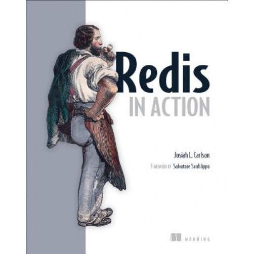 Redis in Action - Josiah L. Carlson (Author)