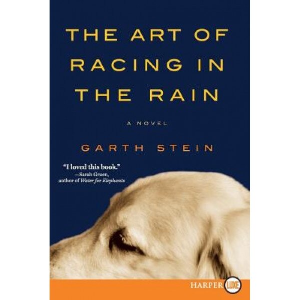 The Art of Racing in the Rain, Garth Stein