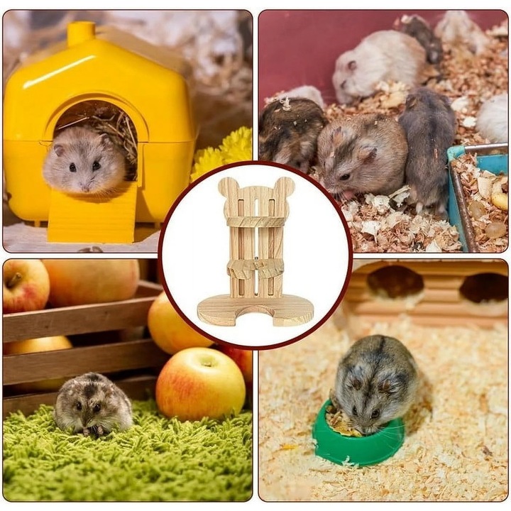 Suport vertical din lemn pentru dozator apa animale mici multicolor 40cm