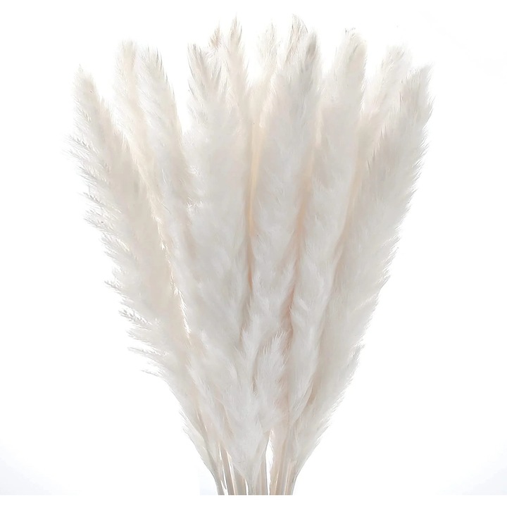 Iarba pampas uscata, set 30 bucati, alb maro, 43x17cm