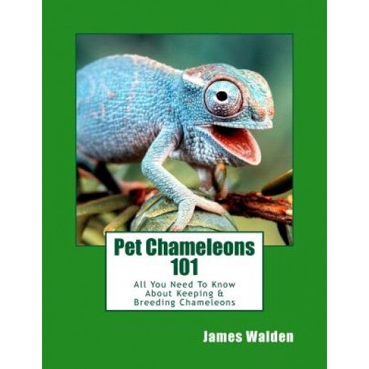 Pet Chameleons 101: All You Need to Know about Keeping & Breeding Chameleons, James Walden (Author)