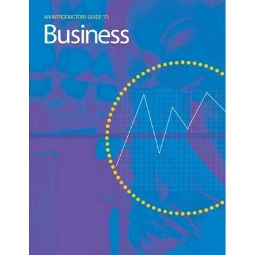 Introductory Guide to Business, John Mann (Author)