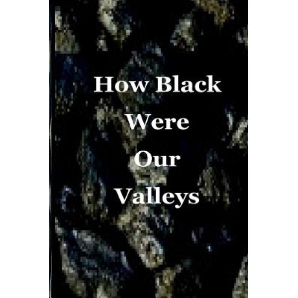 How Black Were Our Valleys: A 30th Commemoration of the 1984/85 Miners' Strike, Deborah Price (Author)