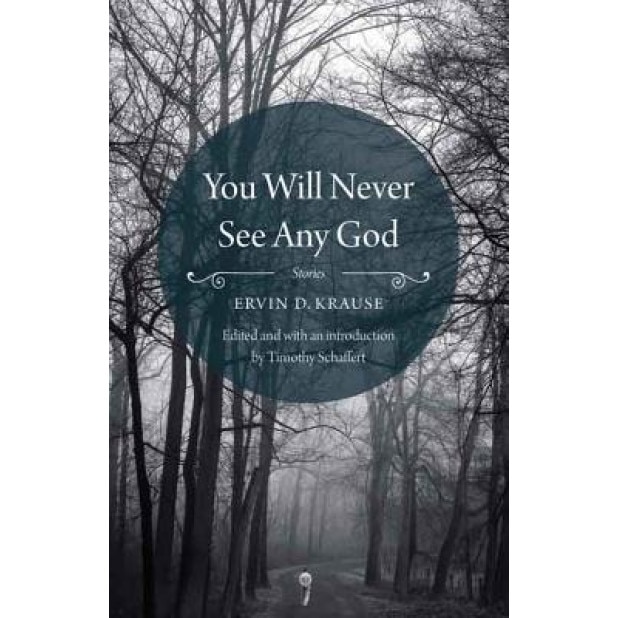 You Will Never See Any God, Ervin D. Krause (Author)