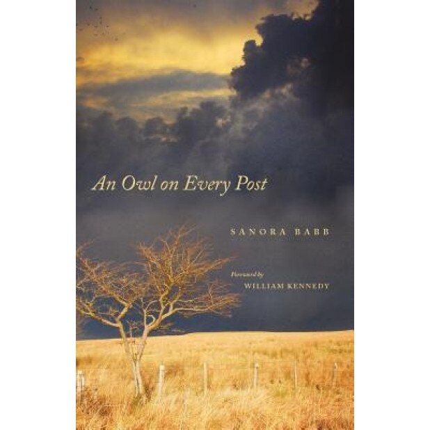 An Owl on Every Post, Sanora Babb (Author)