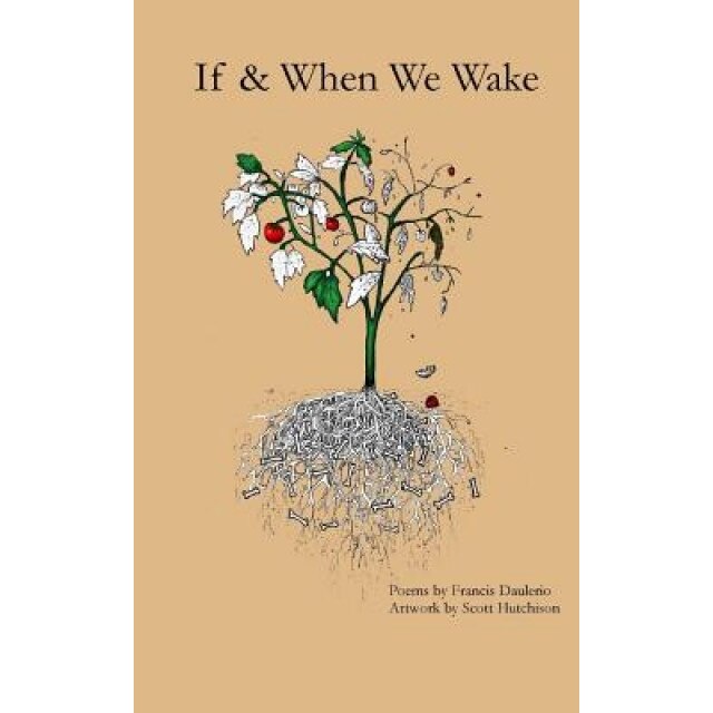 If & When We Wake, Francis Daulerio (Author)