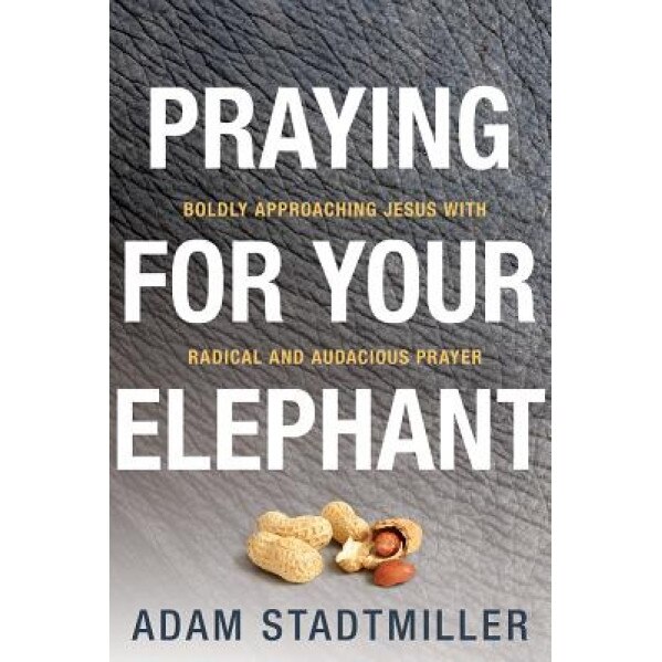 Praying for Your Elephant: Boldly Approaching Jesus with Radical and Audacious Prayer, Adam Stadtmiller (Author)