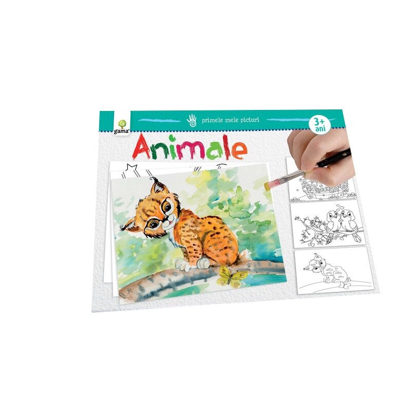Animale - Primele mele picturi
