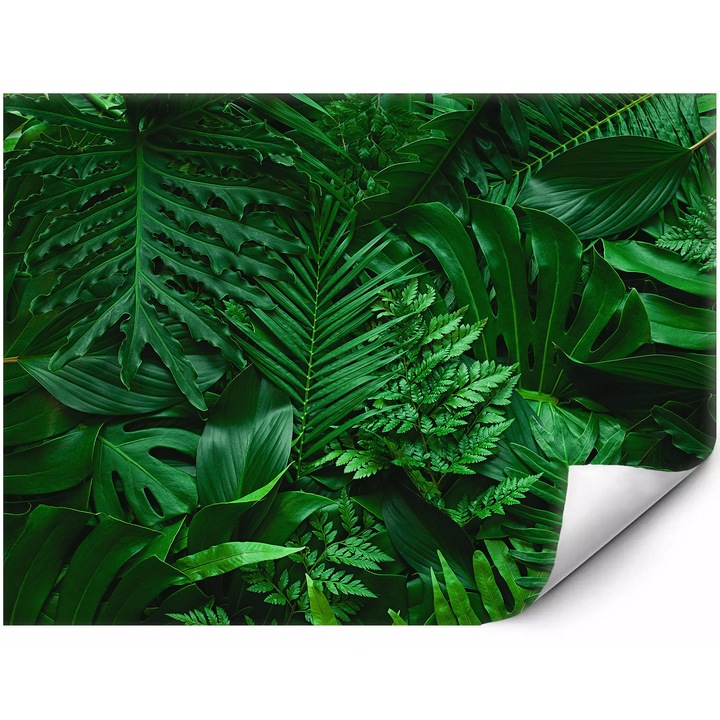 Fali poszter Trópusi vízesés, fenséges hegyek modern belső terekbe 400x280 cm