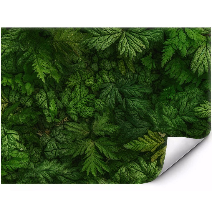 Prémium fotótapéta Egy ház virágok között naplementekor 400x280 cm