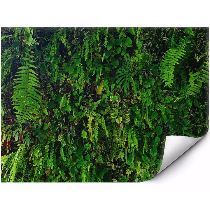 Prémium fotótapéta Őszi táj erdei ösvénnyel nappaliba és hálószobába 400x280 cm