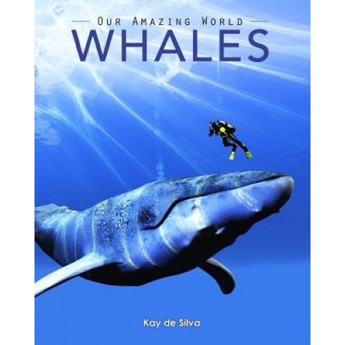Whales: Amazing Pictures & Fun Facts on Animals in Nature, Kay De Silva (Author)