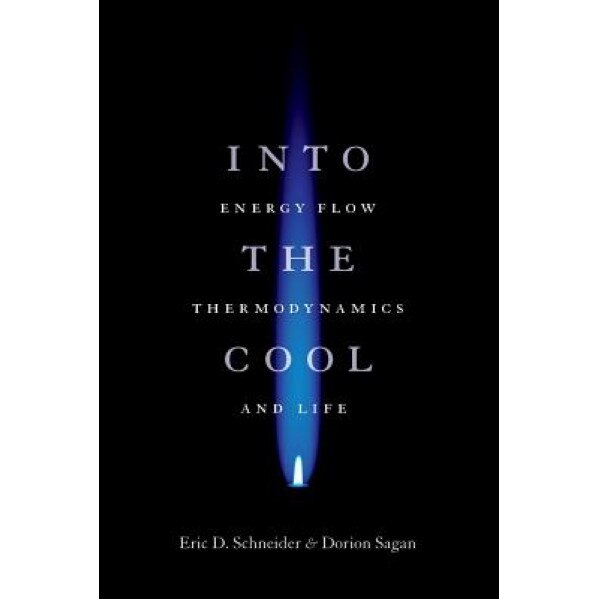 Into the Cool: Energy Flow, Thermodynamics, and Life, Eric D. Schneider, Dorion Sagan