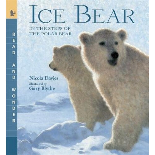 Ice Bear: In the Steps of the Polar Bear, Nicola Davies (Author)