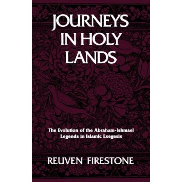 Journeys in Holy Lands, Reuven Firestone (Author)
