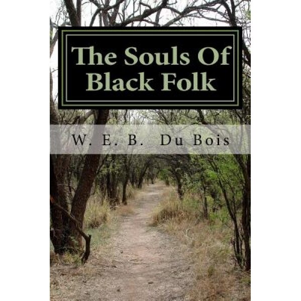 The Souls of Black Folk, W. E. B. Du Bois (Author)