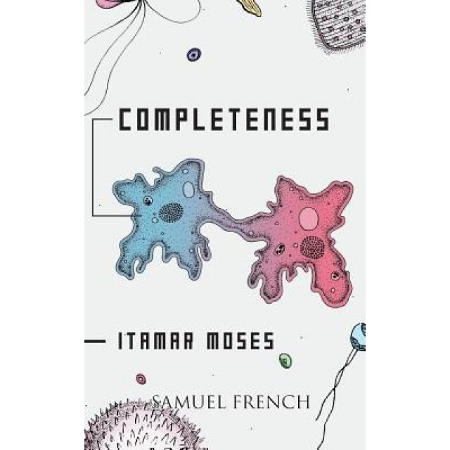 Completeness, Itamar Moses (Author)