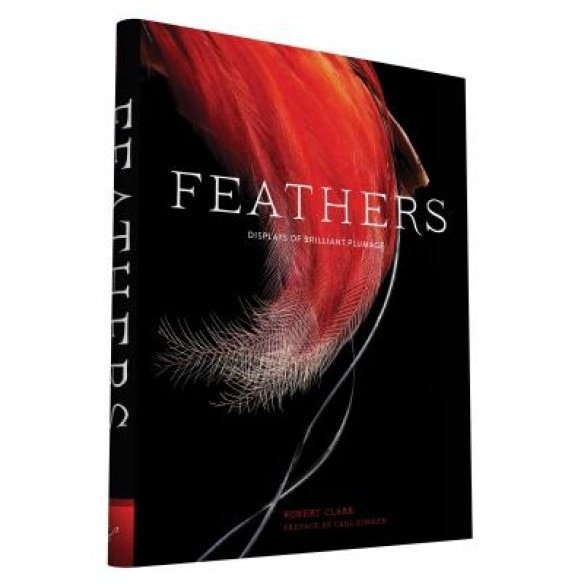Feathers: Displays of Brilliant Plumage, Robert Clark (Photographer)