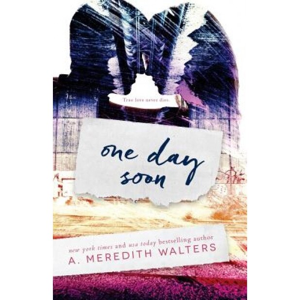 One Day Soon, A. Meredith Walters (Author)