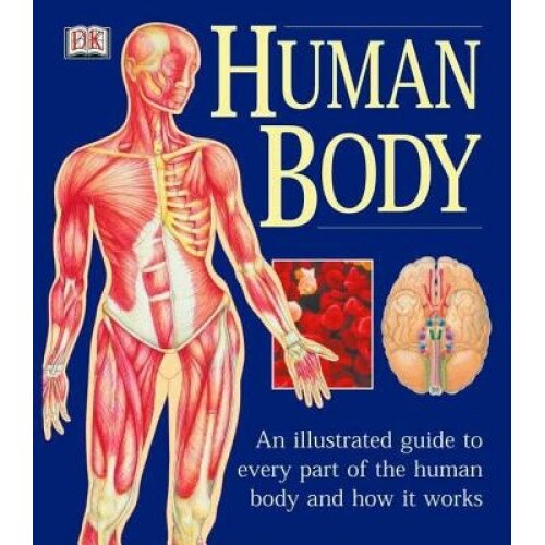 The Human Body, Ann Baggaley, Jill Hamilton, Jane Perlmutter