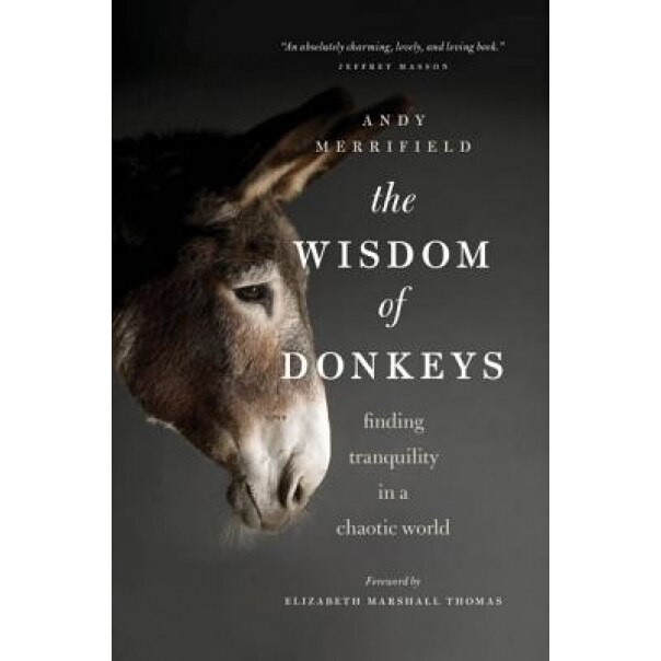 The Wisdom of Donkeys: Finding Tranquility in a Chaotic World, Andy Merrifield
