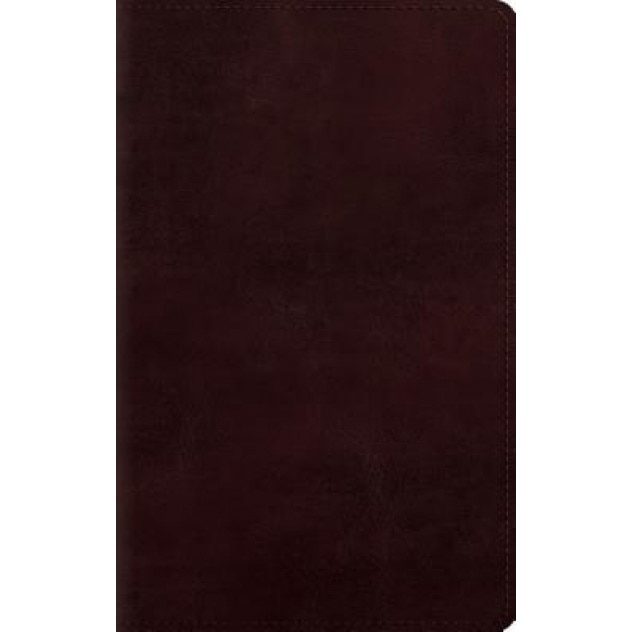 Large Print Personal Size Bible-ESV, Crossway Bibles (Manufactured by)