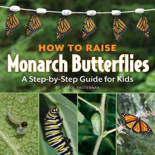 How to Raise Monarch Butterflies: A Step-By-Step Guide for Kids, Carol Pasternak (Author)