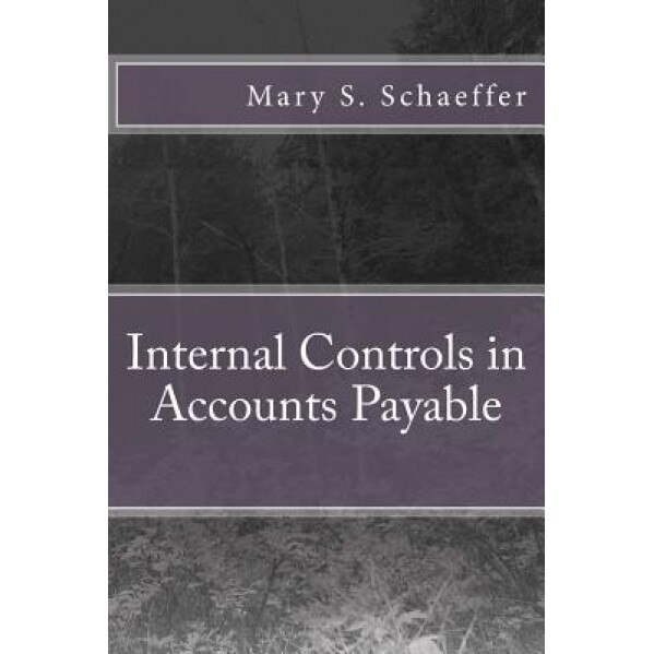 Internal Controls in Accounts Payable - Mary S. Schaeffer (Author)