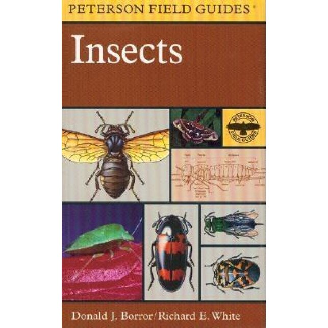 A Field Guide to Insects: America North of Mexico, Donald J. Borror, Mariner Books, Richard E. White