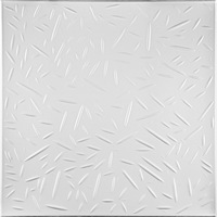 tavan decorativ c2027 culoare alb 50x50 cm grosime 03 cm 10 pachete suprafata acoperita 20 mp imagen 44_0_
0
