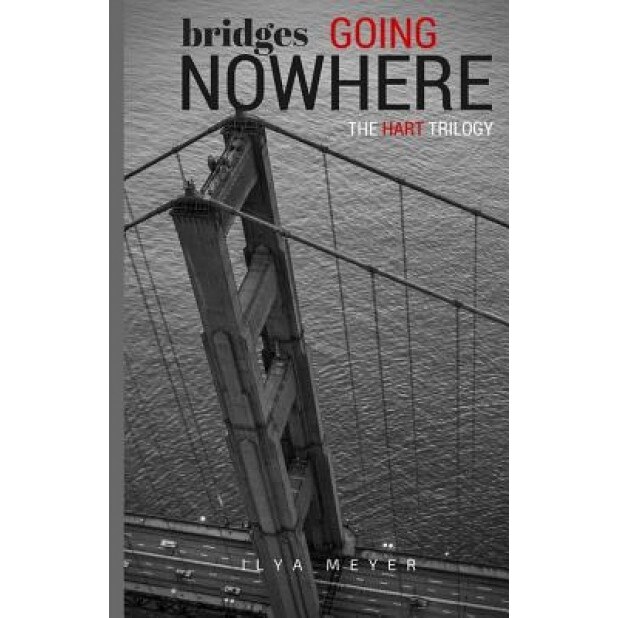 Bridges Going Nowhere, Ilya Meyer (Author)