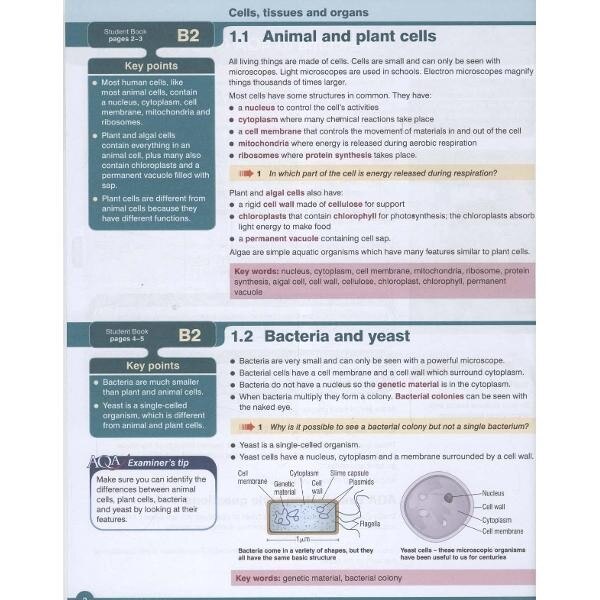 New Aqa Science Gcse Additional Science Revision Guide Emagro 5603