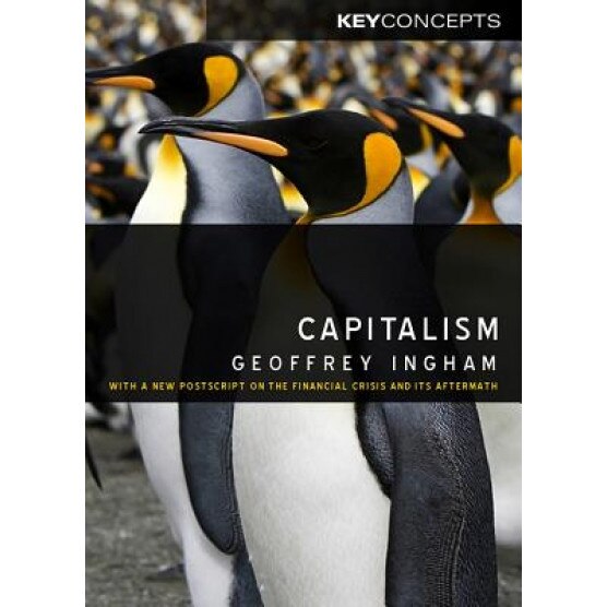 Capitalism, Geoffrey Ingham (Author)