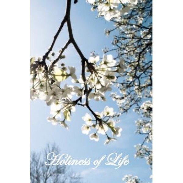 Holiness of Life, Saint Bonaventure (Author)