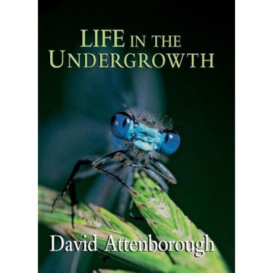 Life in the Undergrowth, David Attenborough (Author)