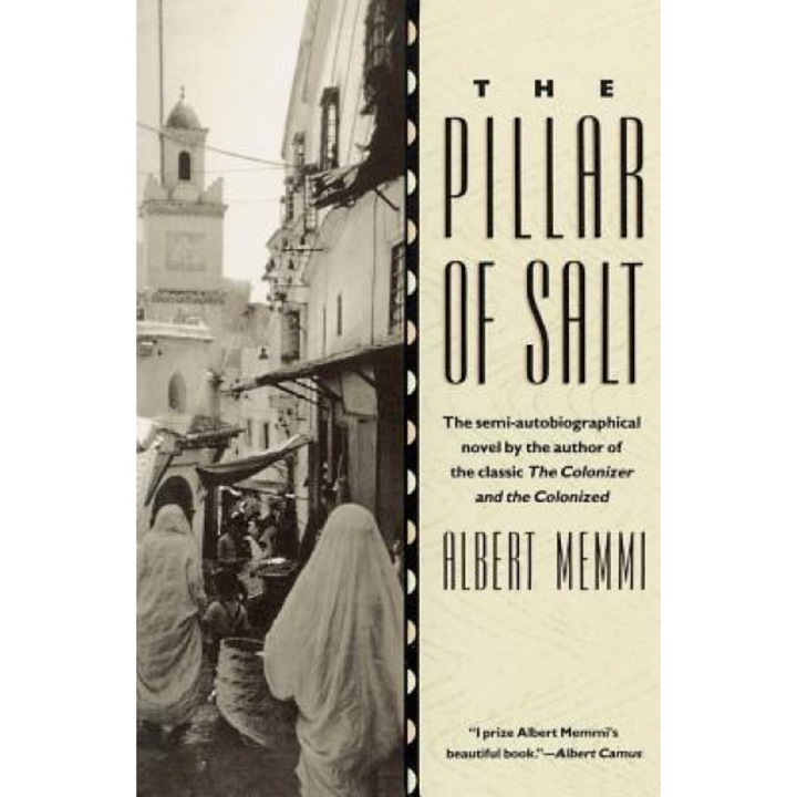 Pillar of Salt, Albert Memmi (Author)