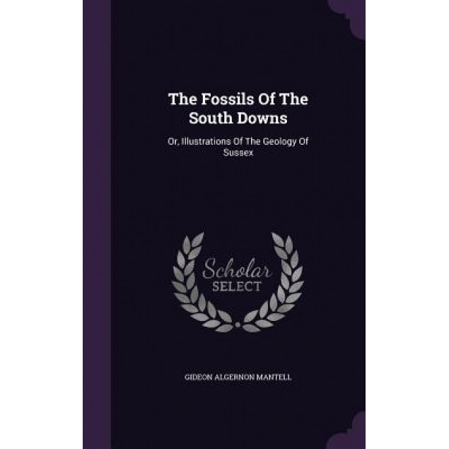 The Fossils of the South Downs: Or, Illustrations of the Geology of Sussex, Gideon Algernon Mantell (Author)