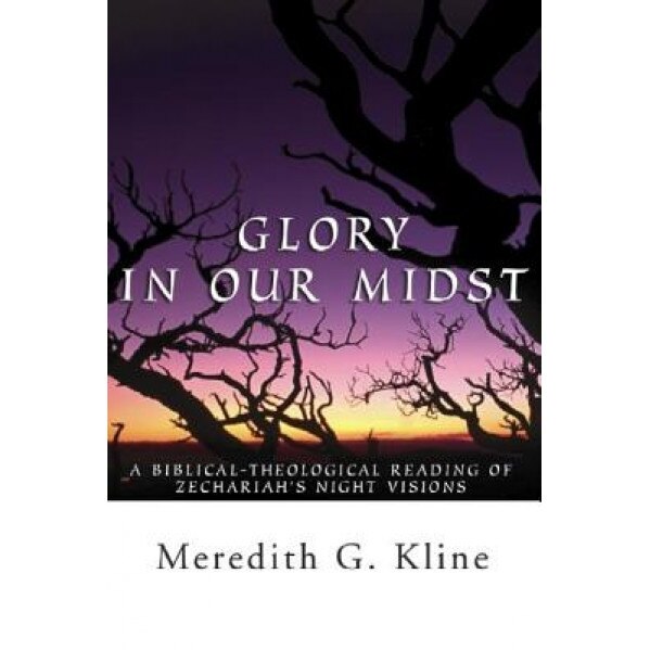 Glory in Our Midst, Meredith Klein (Author)
