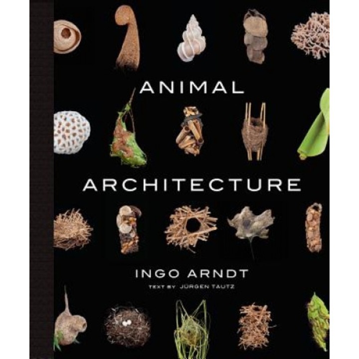 Animal Architecture, Ingo Arndt (Author)