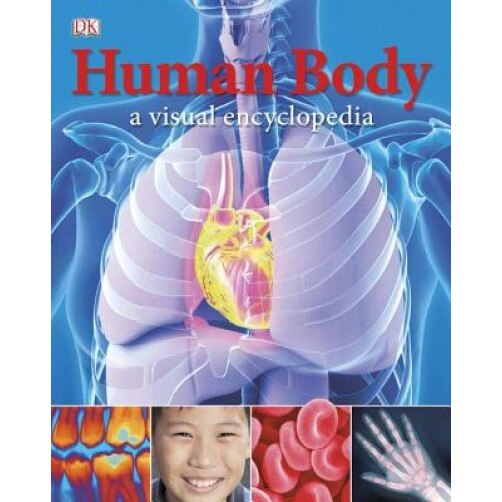 Human Body: A Visual Encyclopedia, DK Publishing