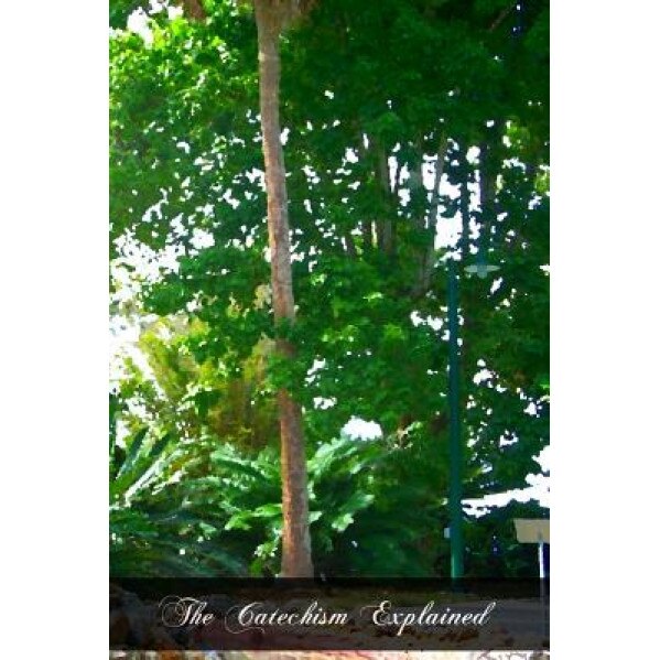 The Catechism Explained: An Exhaustive Exposition of the Christian Religion, Rev Francis Spirago (Author)
