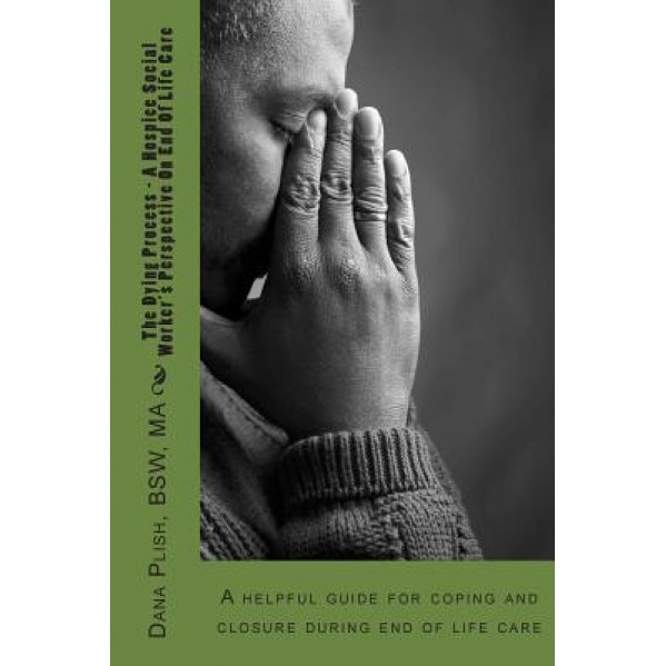 The Dying Process - A Hospice Social Worker's Perspective on End of Life Care: A Helpful Guide for Coping and Closure During End of Life Care, MR Dana S. Plish (Author)