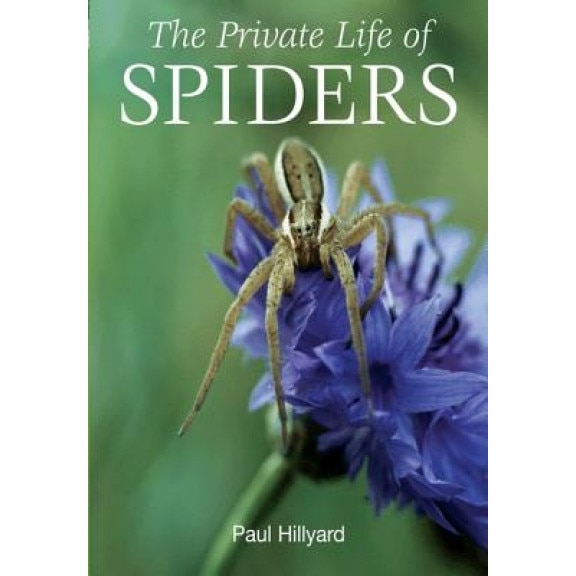 The Private Life of Spiders, Paul Hillyard (Author)