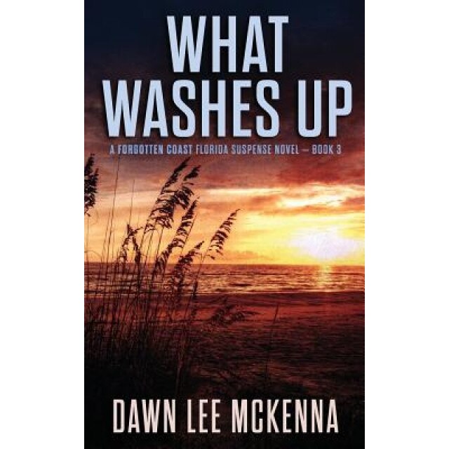 What Washes Up, Dawn Lee McKenna (Author)